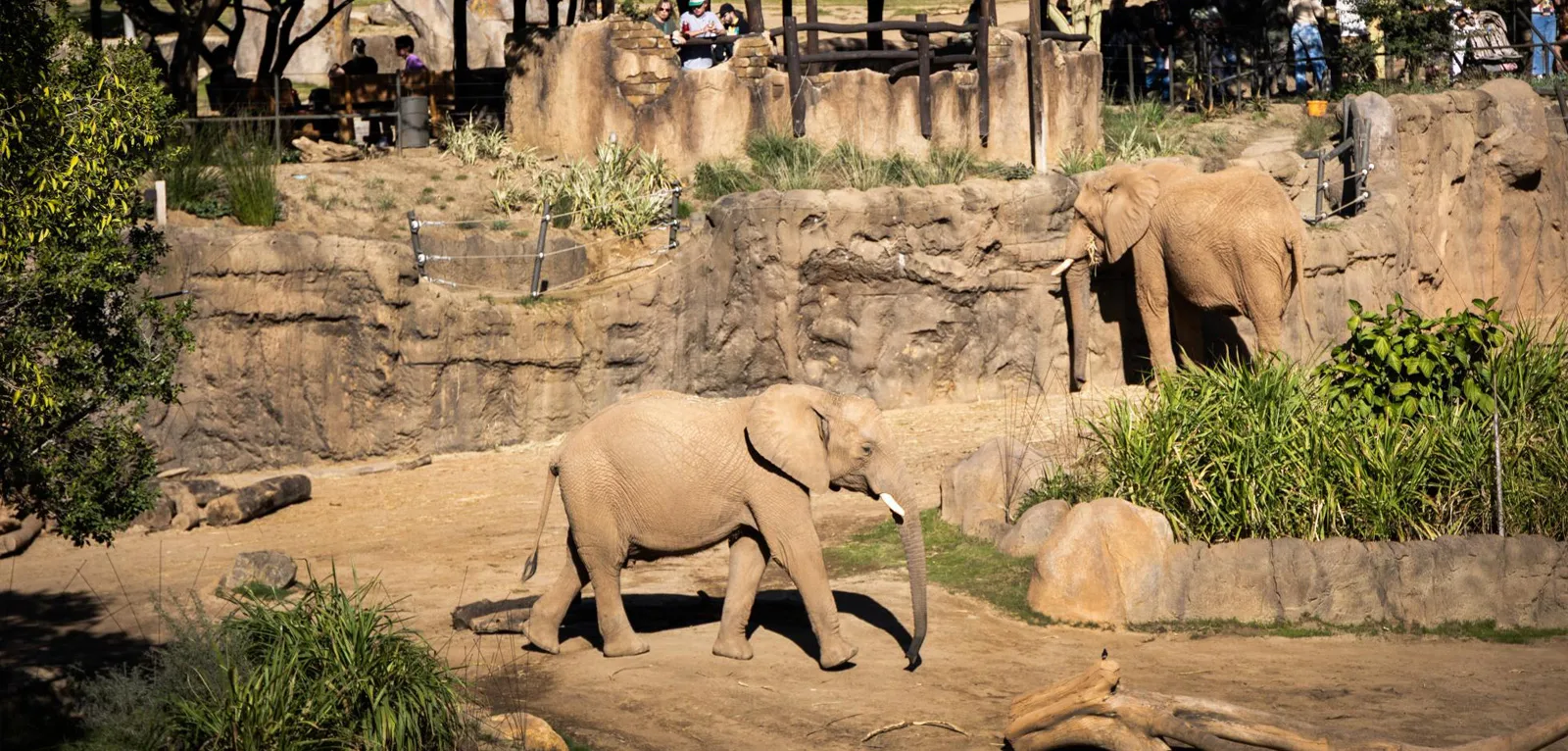 San Diego Zoo in San Diego, CA